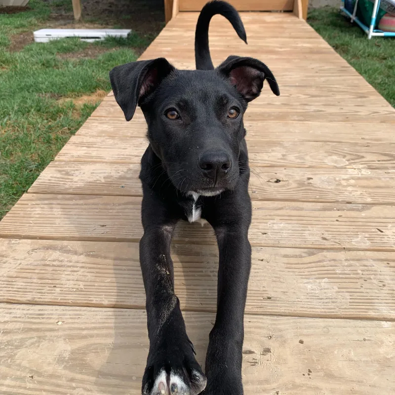 Happy Ny! thumbnail 4