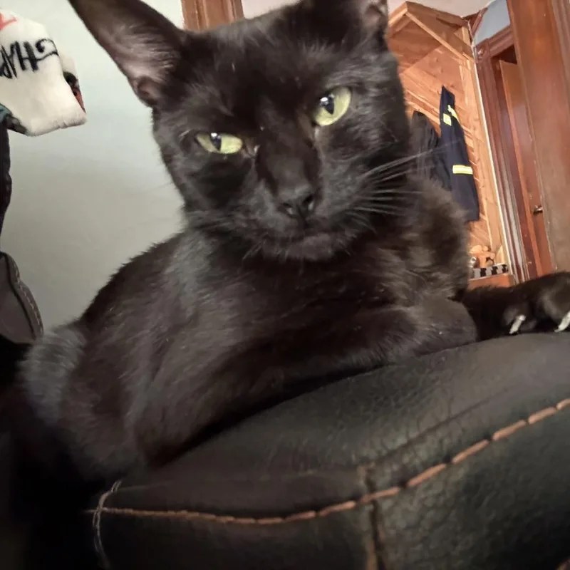 Miller thumbnail 3