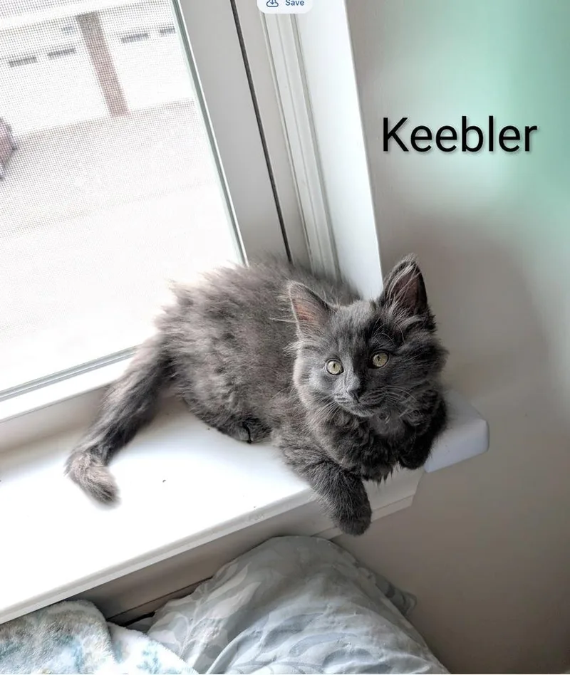 Count Keebler