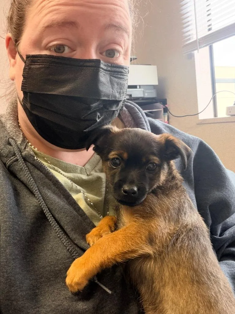 Tater Tot thumbnail 2