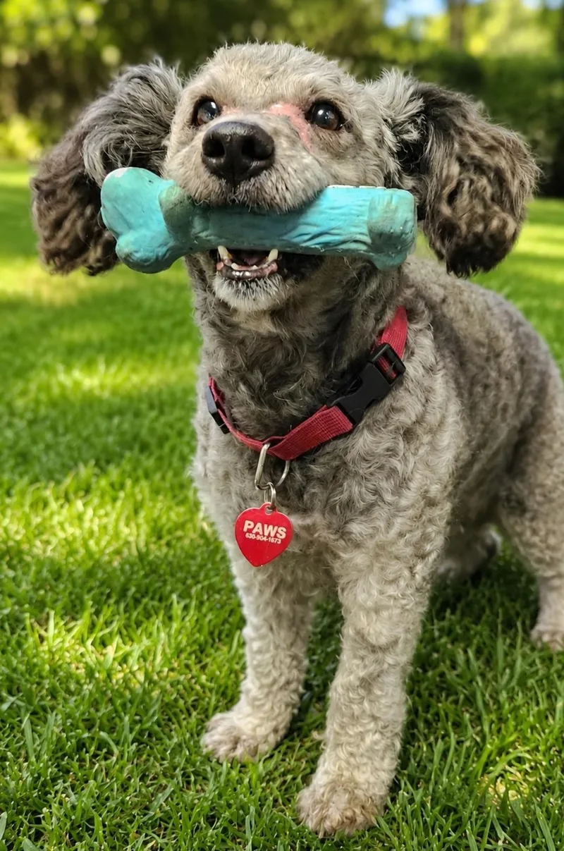 Charlie