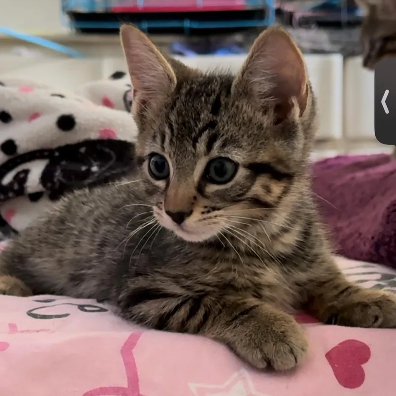 Zuko And Kenickie thumbnail 2