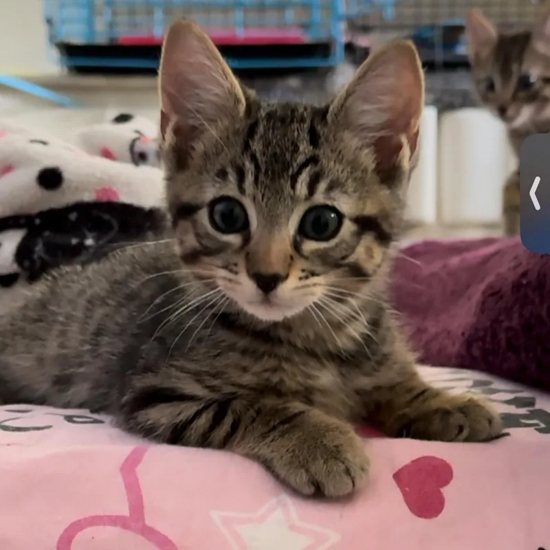 Zuko And Kenickie thumbnail 3