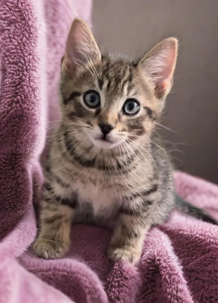 Zuko And Kenickie thumbnail 4