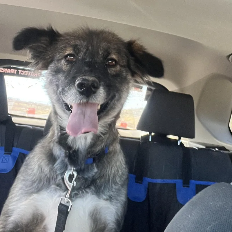 Nina  The One thumbnail 2