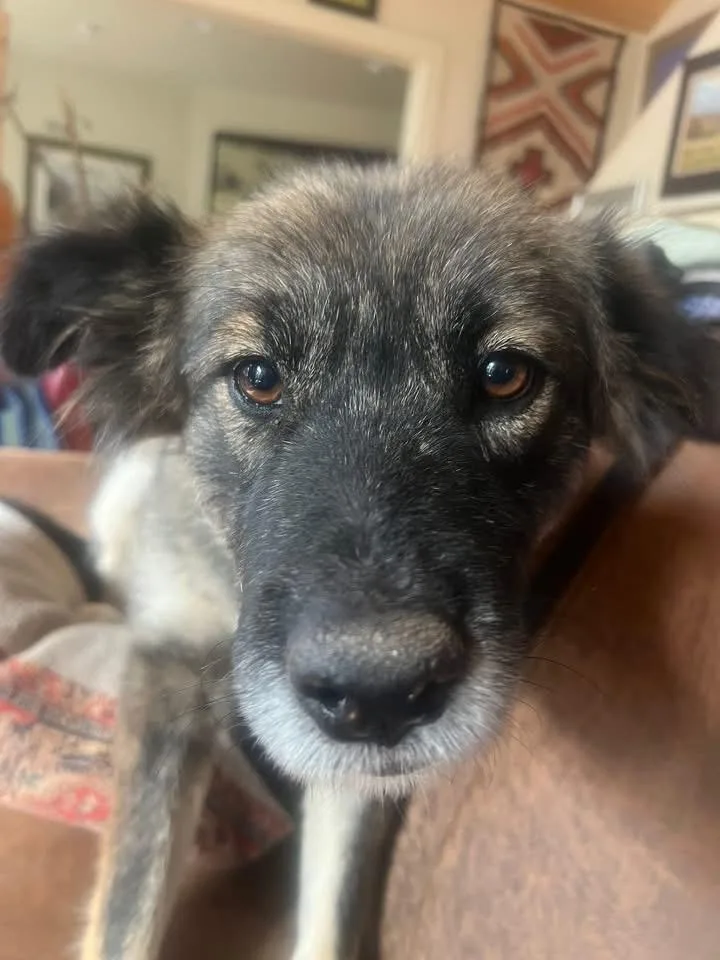 Nina  The One thumbnail 3