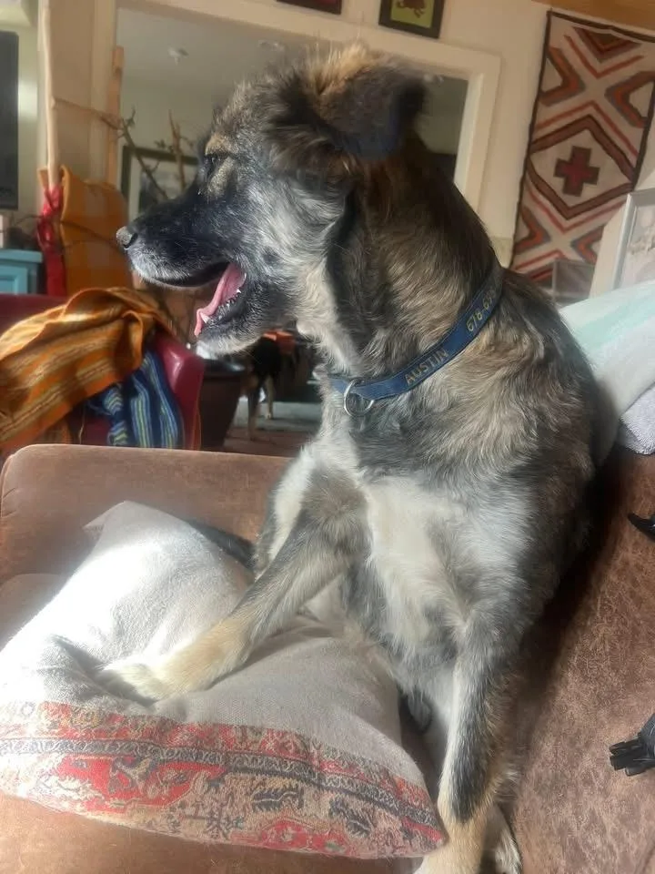 Nina  The One thumbnail 4