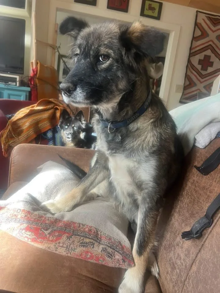 Nina  The One thumbnail 5