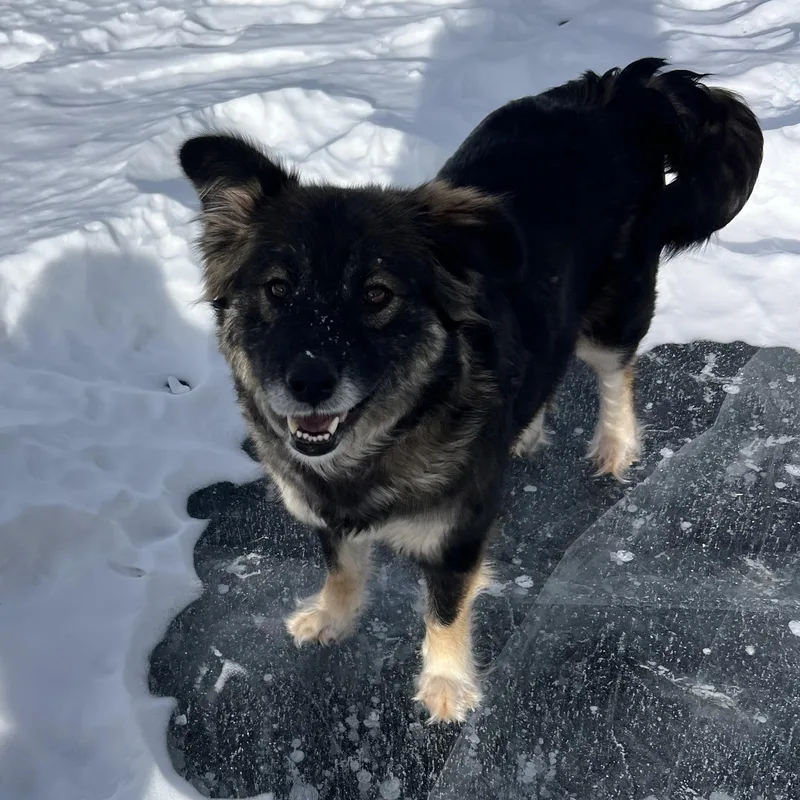 Nina  The One thumbnail 6