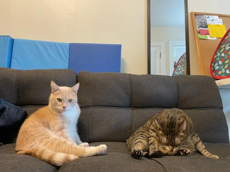 Peaches & Tigarette thumbnail 5