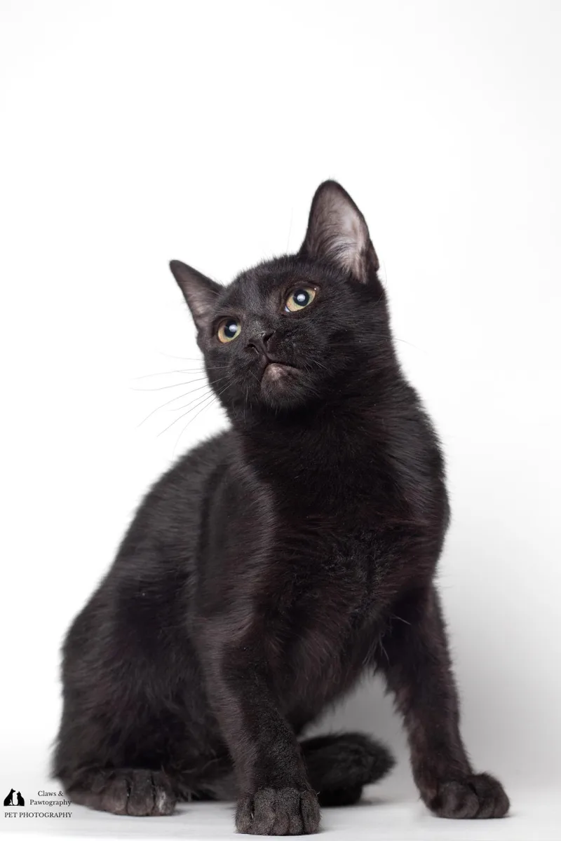 Officer Clemons @ Fat thumbnail 2