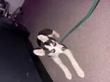 Rue thumbnail 2