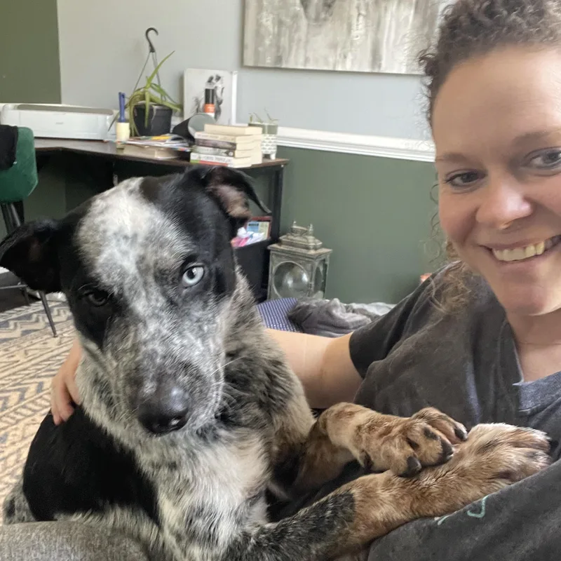 Maverick thumbnail 3