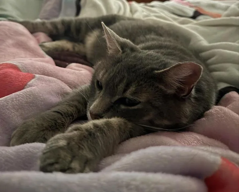 Gabby thumbnail 2