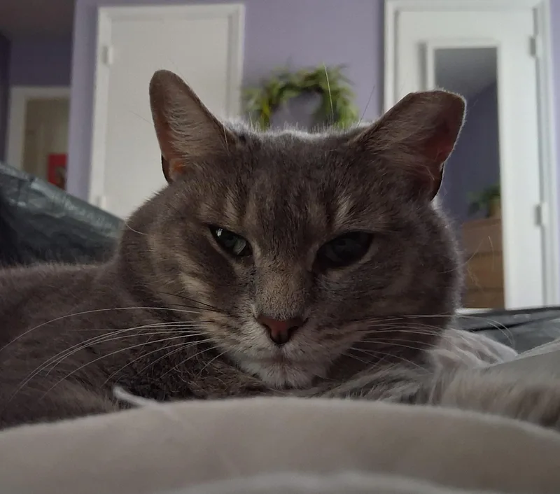 Gabby thumbnail 3