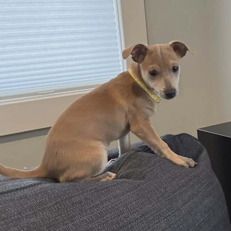 Don Julio thumbnail 2