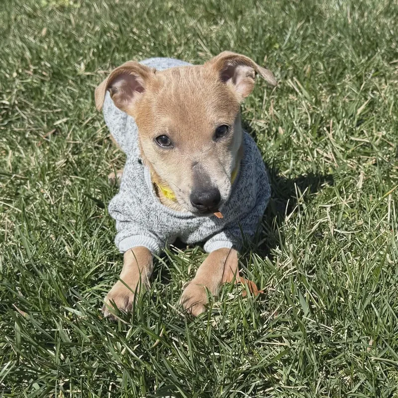 Don Julio thumbnail 3