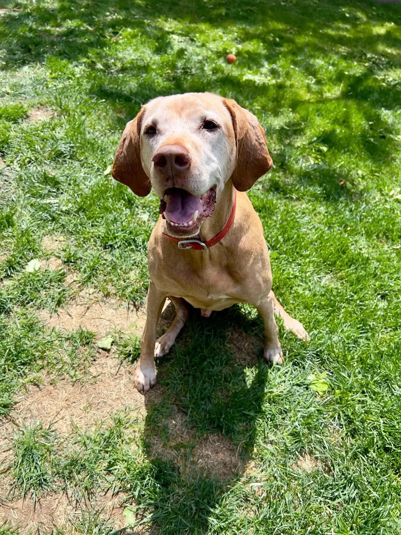 Princeton
