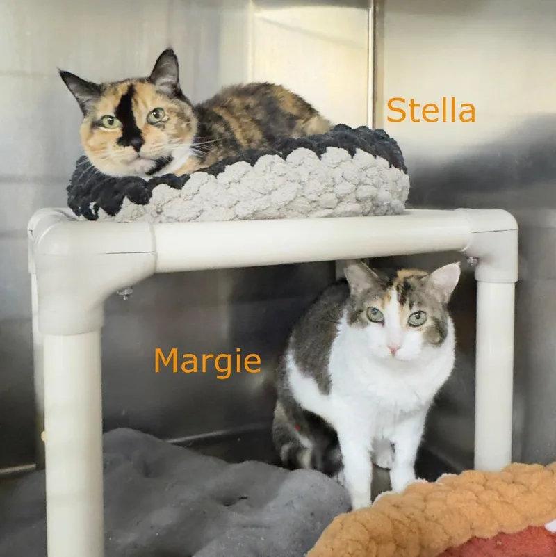 Margie