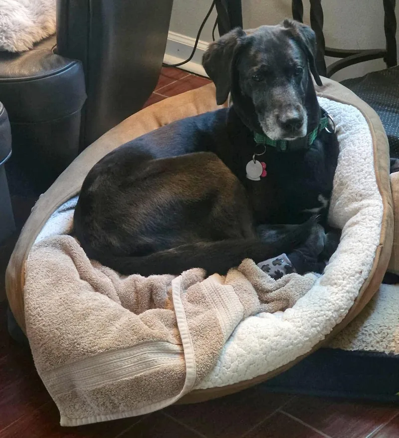 Harper Lee thumbnail 2