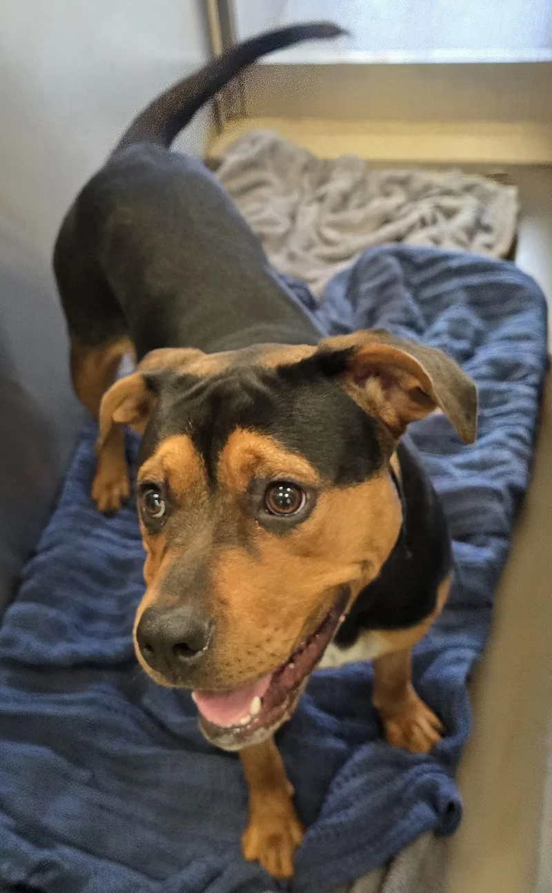 Coco