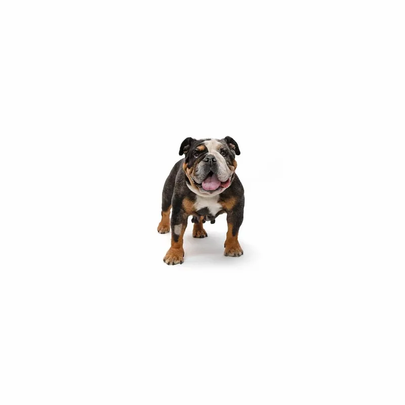 Ms. Ruby thumbnail 2