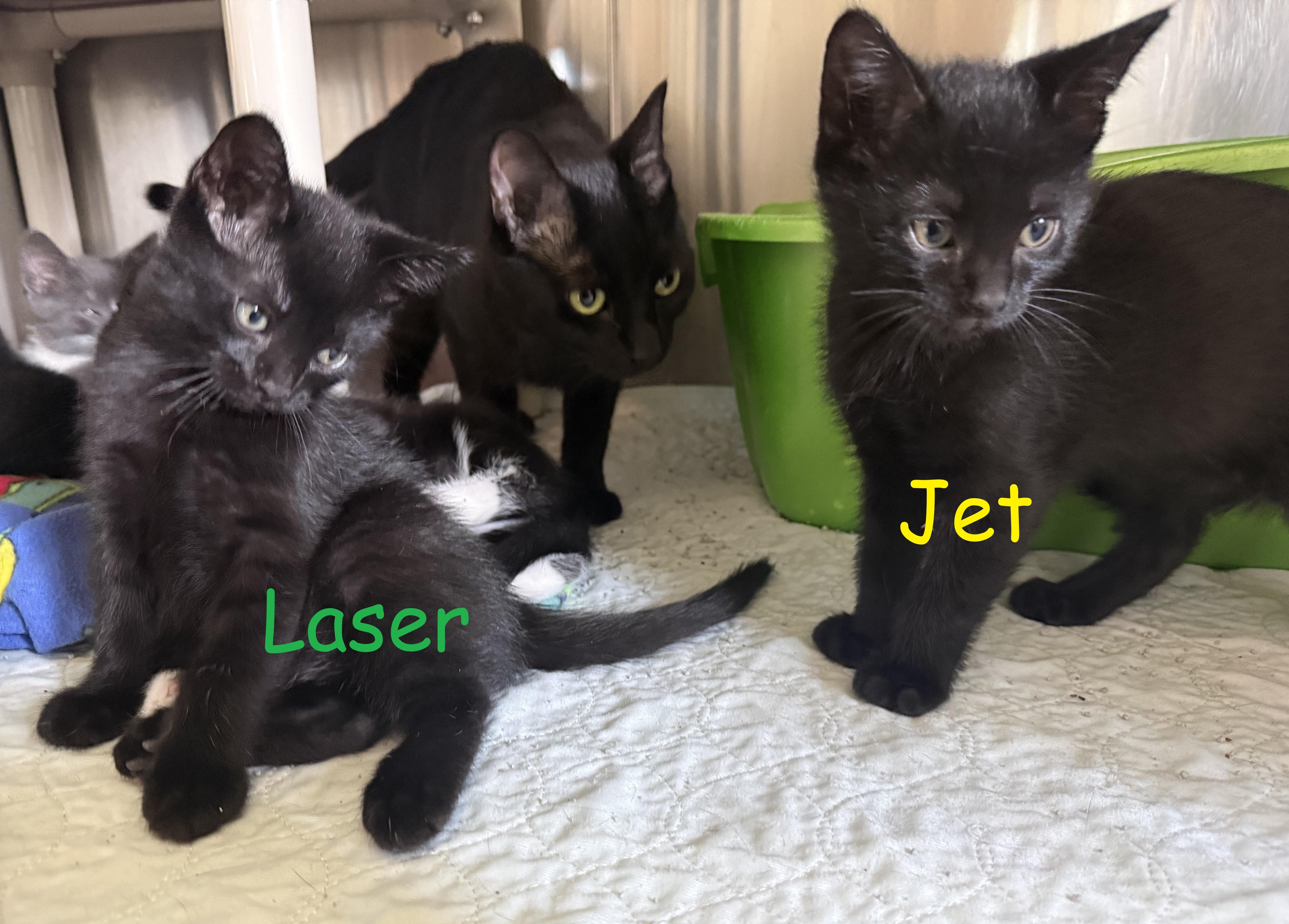 Jet thumbnail 3