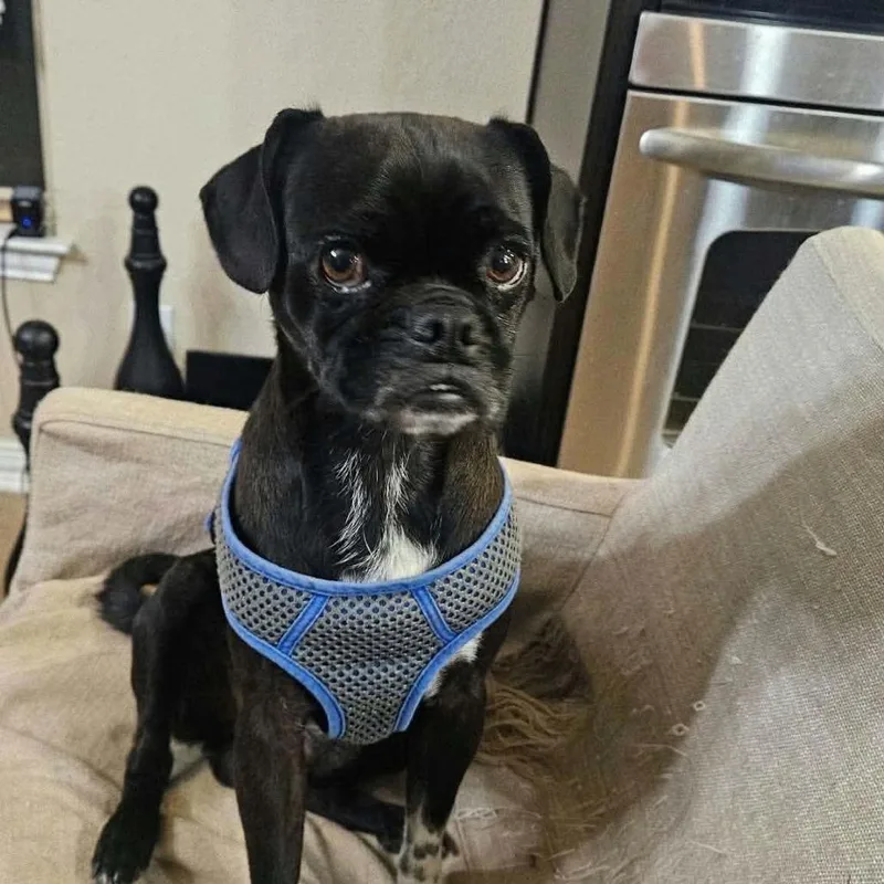 Juan Carlos Arriving  thumbnail 3