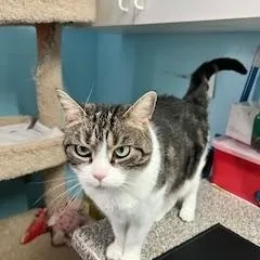 Ruby Shewman thumbnail 2