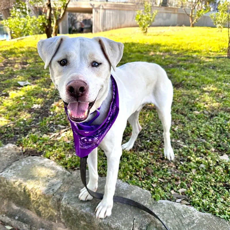 Mike Wazowski thumbnail 2