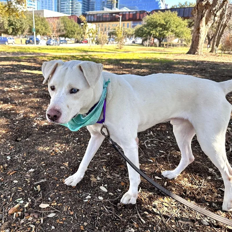 Mike Wazowski thumbnail 3