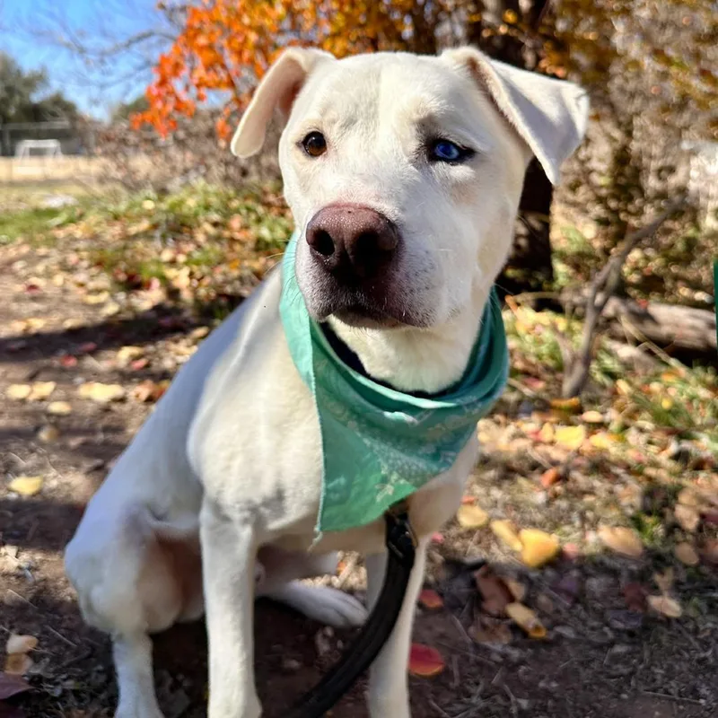 Mike Wazowski thumbnail 4