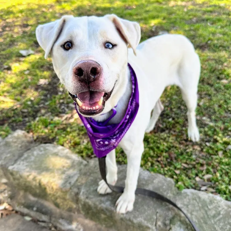 Mike Wazowski thumbnail 5