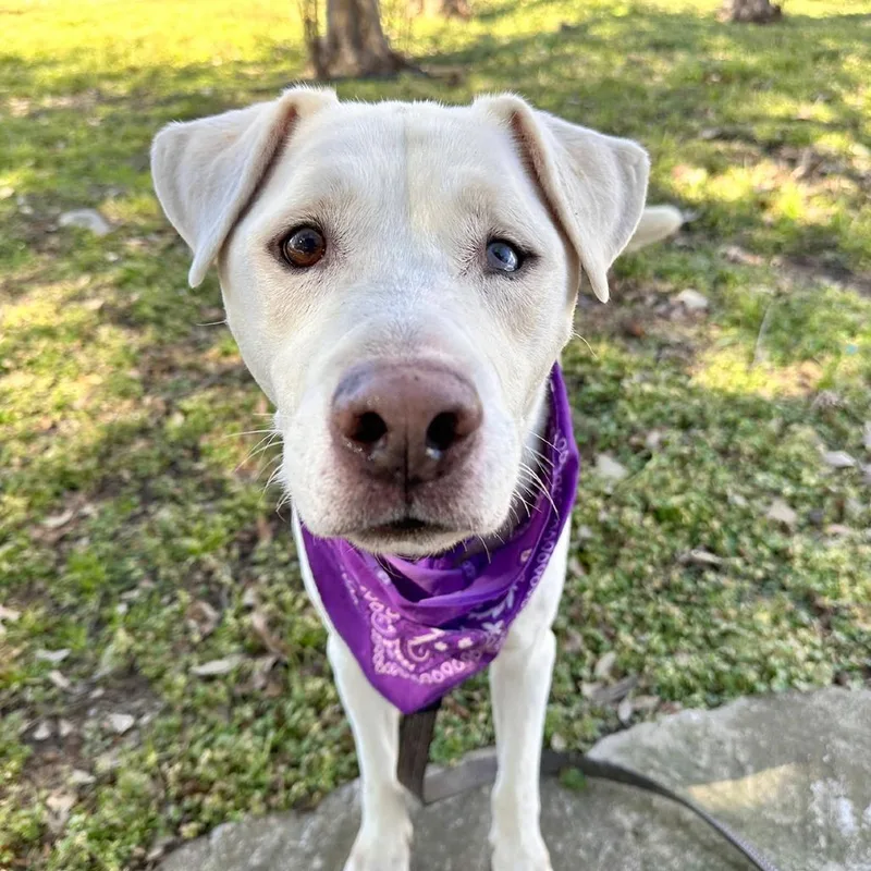 Mike Wazowski thumbnail 6