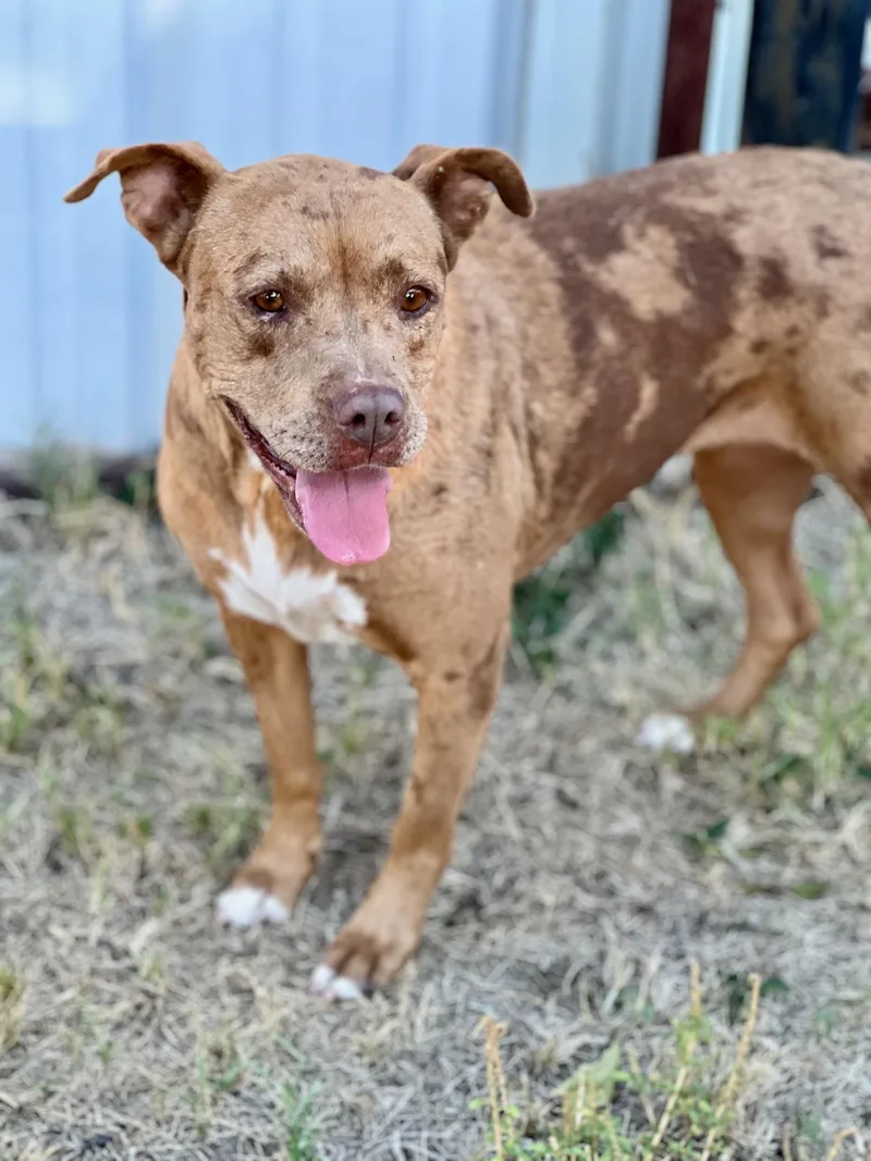 Molly thumbnail 4