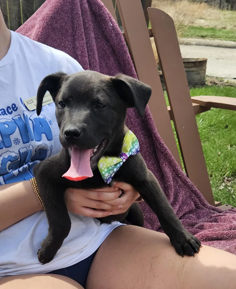 Ella
