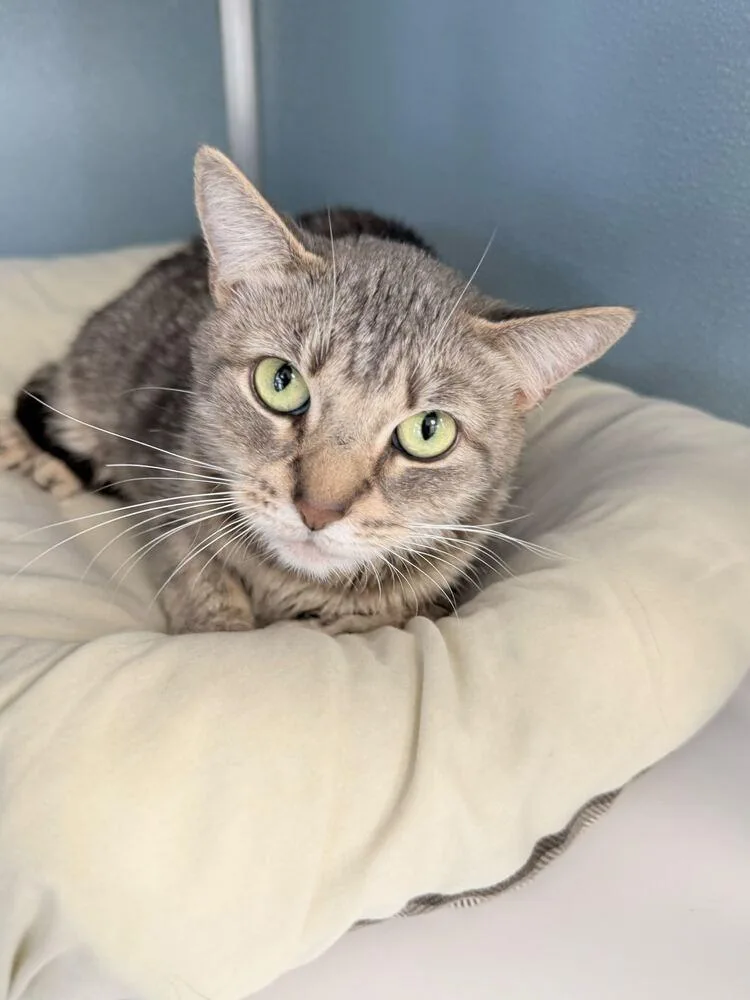 Freya Jean thumbnail 2