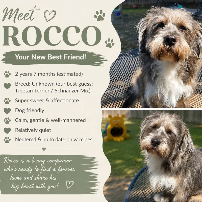 Rocco thumbnail 4