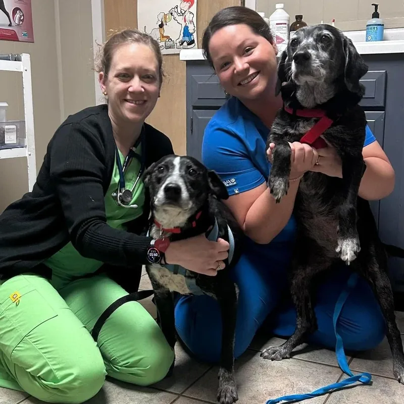 Jessie & Bonnie thumbnail 2