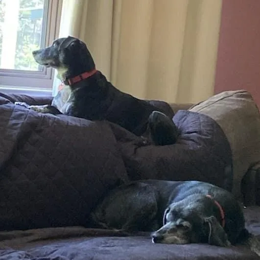 Jessie & Bonnie thumbnail 4