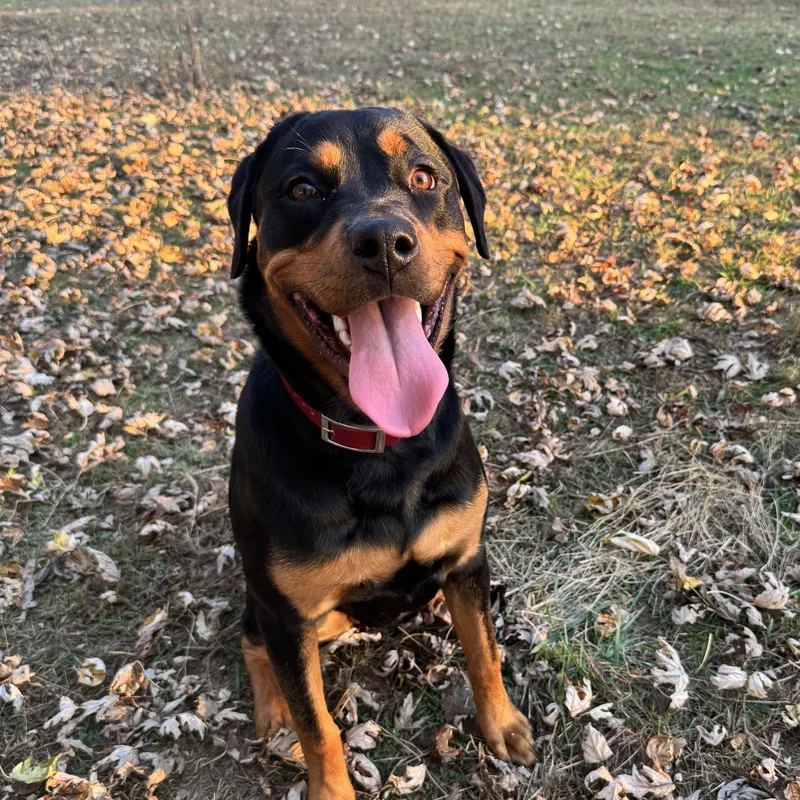 Ella thumbnail 2