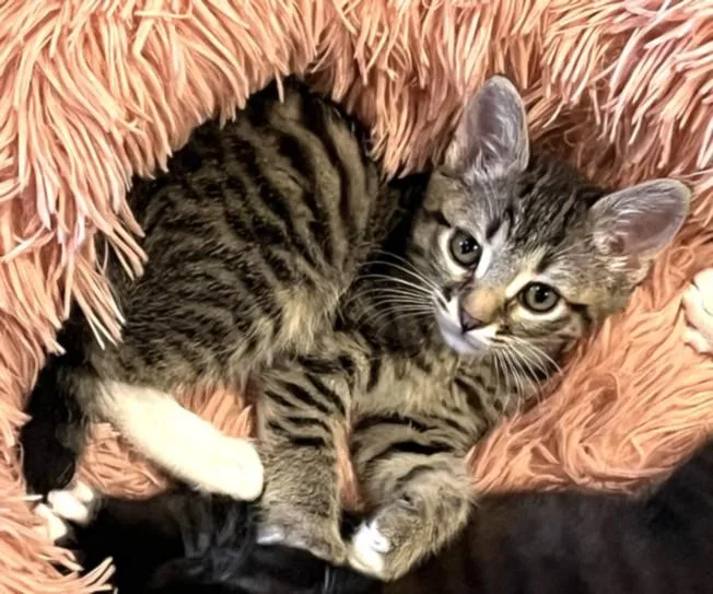 Luna