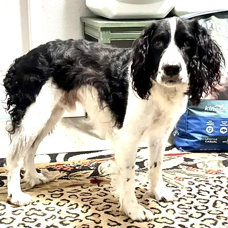 Pepper s thumbnail 2