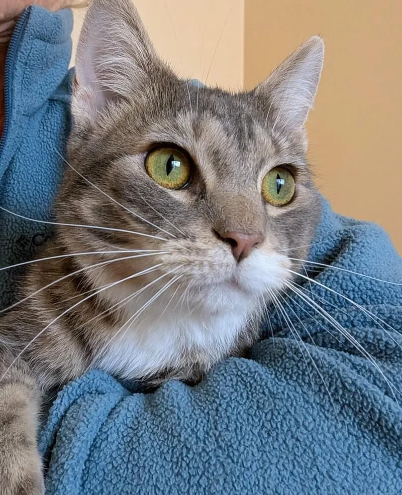 Wolfman Jack thumbnail 4