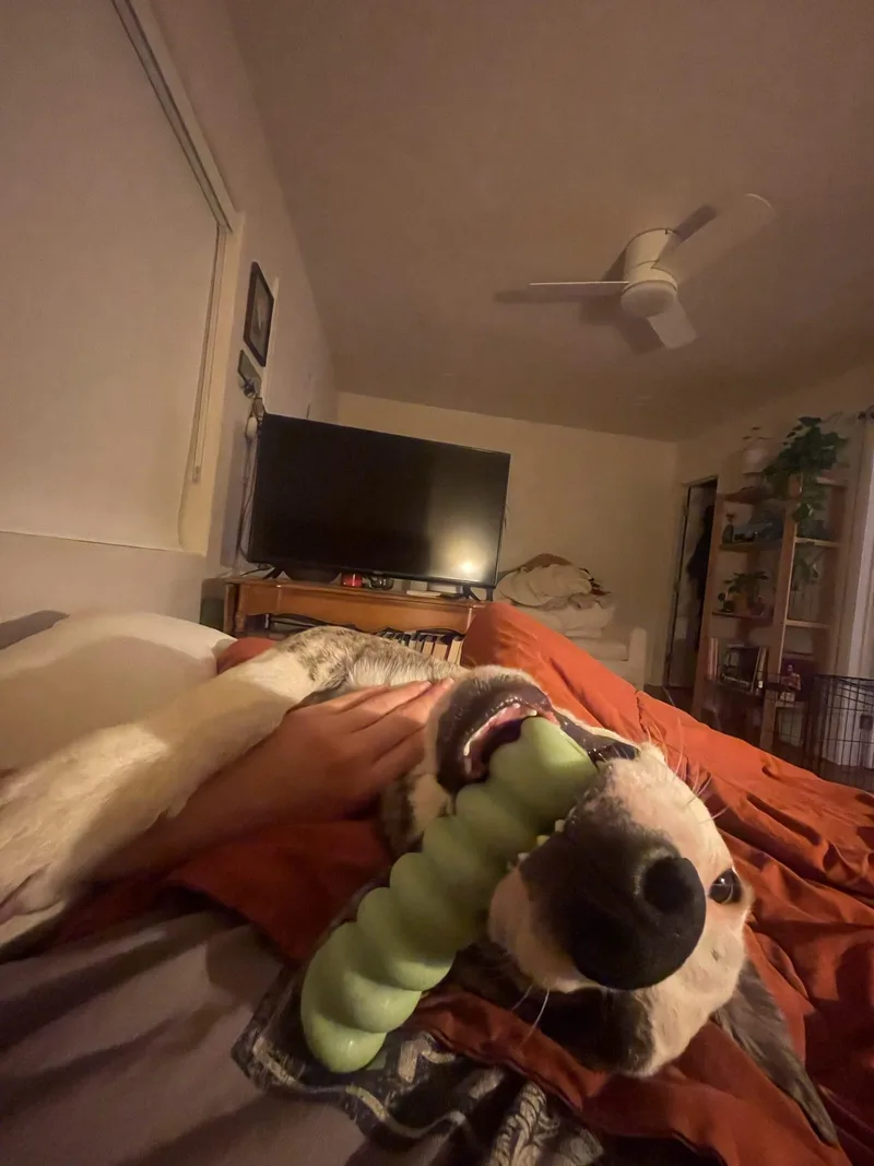 Sweet Mister thumbnail 6