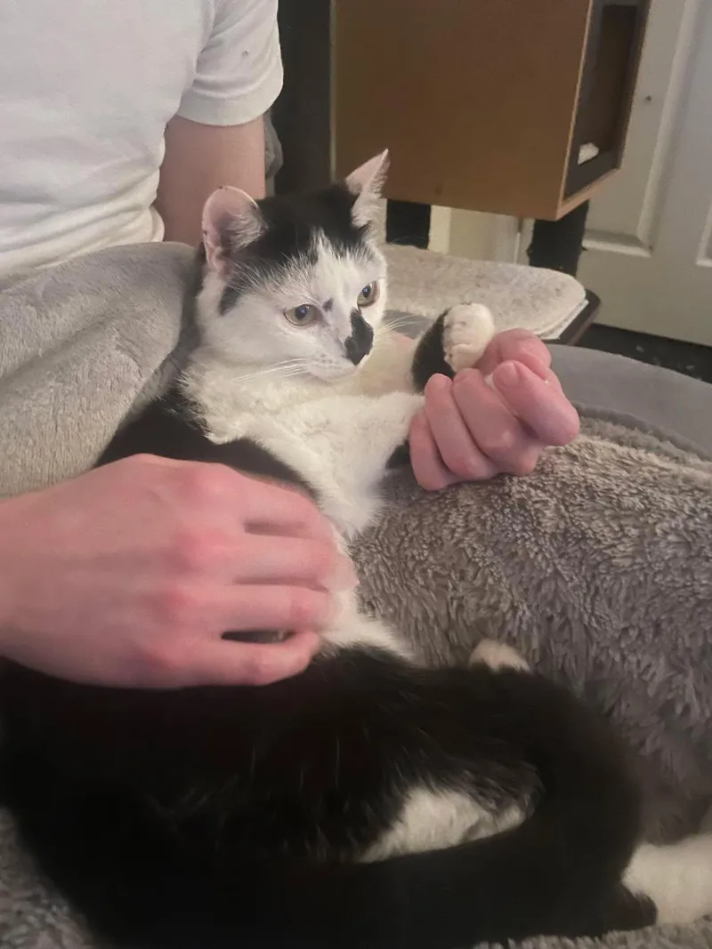 Winnie thumbnail 5