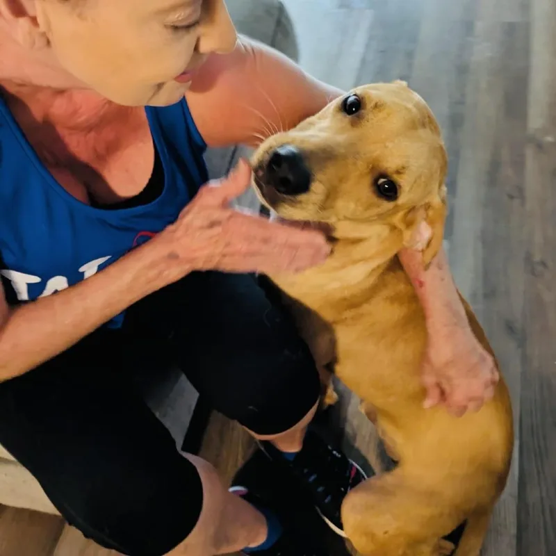 Scooby Boy thumbnail 3