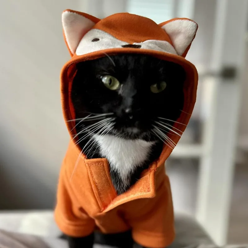 Bill Bixby thumbnail 6