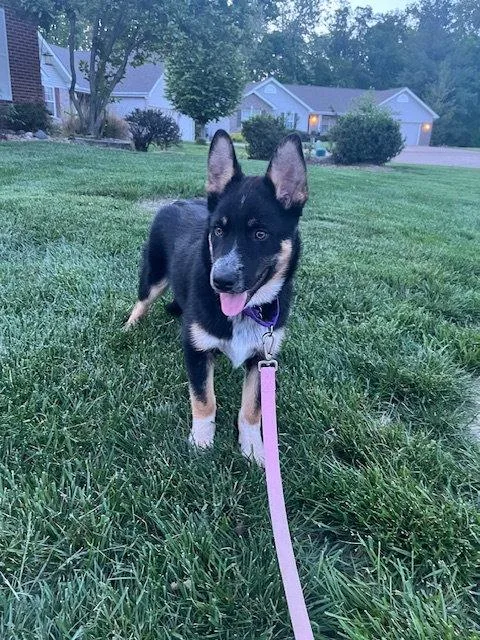 Kai