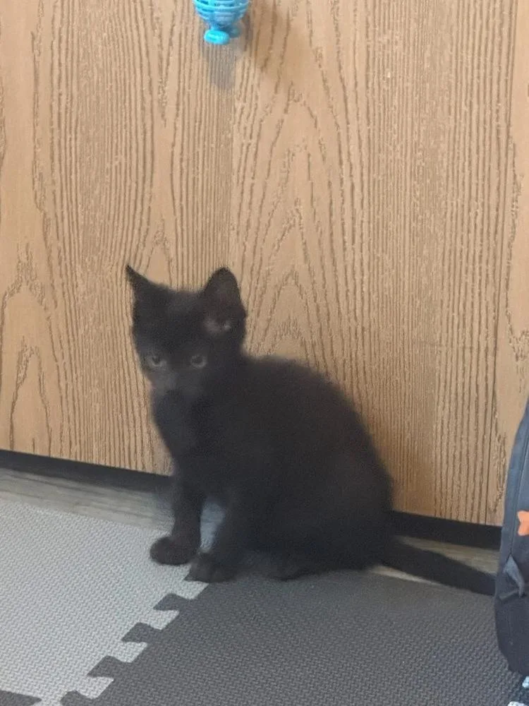 Proposal thumbnail 2